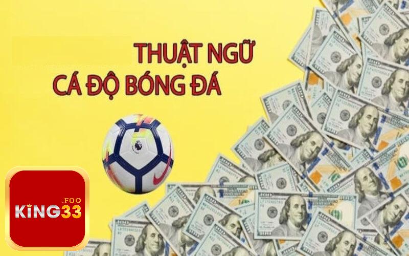 Thuật ngữ cá độ bóng đá trong kèo cược